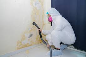 Best Residential Mold Inspection & Testing in Akron, NY